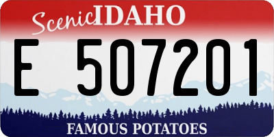 ID license plate E507201