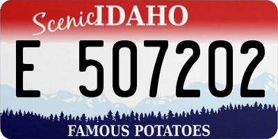 ID license plate E507202