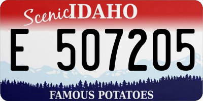ID license plate E507205