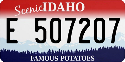 ID license plate E507207