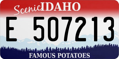 ID license plate E507213