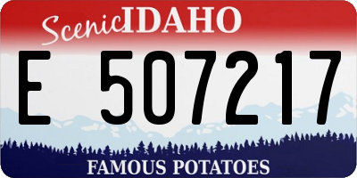ID license plate E507217