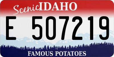 ID license plate E507219