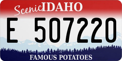 ID license plate E507220