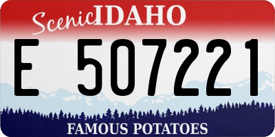 ID license plate E507221