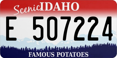 ID license plate E507224