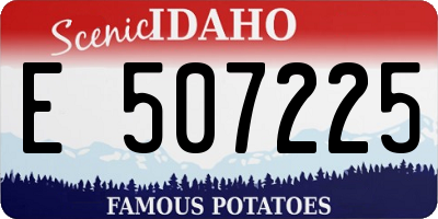 ID license plate E507225