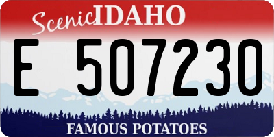 ID license plate E507230