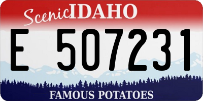 ID license plate E507231