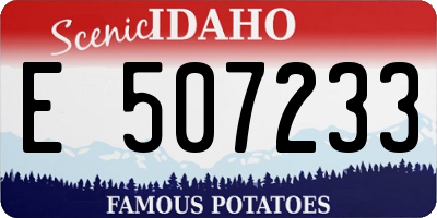 ID license plate E507233