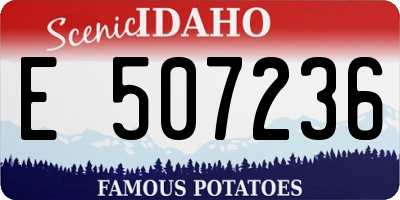 ID license plate E507236
