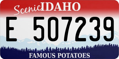 ID license plate E507239