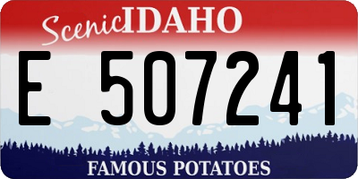 ID license plate E507241