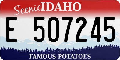 ID license plate E507245