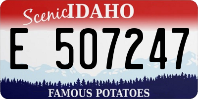 ID license plate E507247