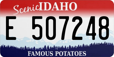 ID license plate E507248