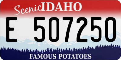 ID license plate E507250