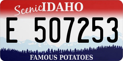 ID license plate E507253