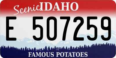ID license plate E507259