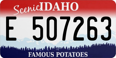 ID license plate E507263