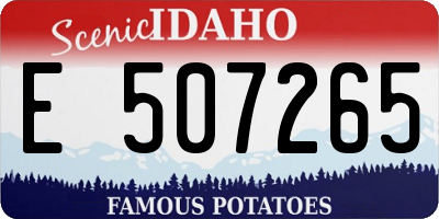 ID license plate E507265