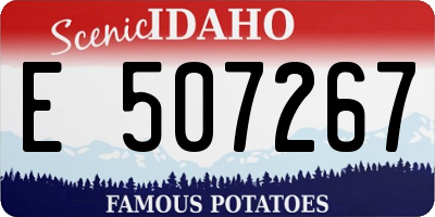 ID license plate E507267
