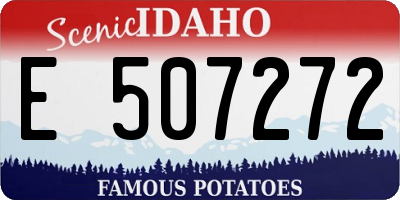 ID license plate E507272
