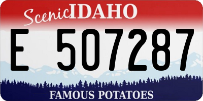 ID license plate E507287