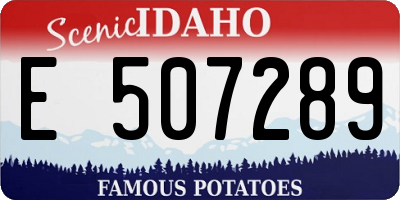 ID license plate E507289