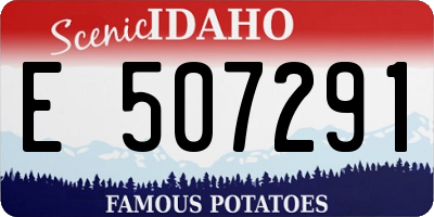 ID license plate E507291
