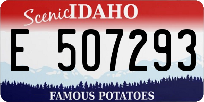 ID license plate E507293