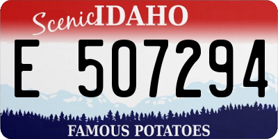 ID license plate E507294