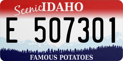 ID license plate E507301