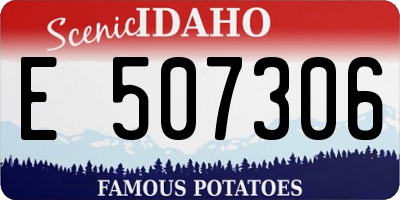 ID license plate E507306