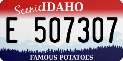 ID license plate E507307