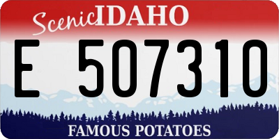 ID license plate E507310
