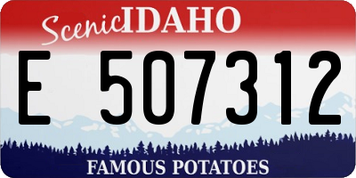 ID license plate E507312