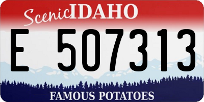 ID license plate E507313