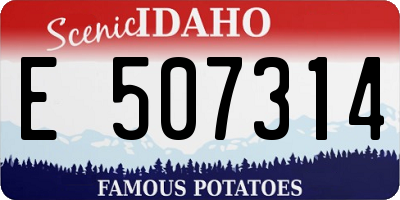 ID license plate E507314