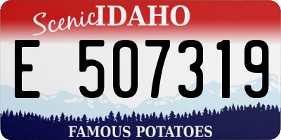 ID license plate E507319