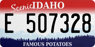 ID license plate E507328