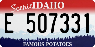ID license plate E507331
