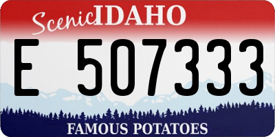 ID license plate E507333