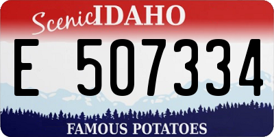 ID license plate E507334