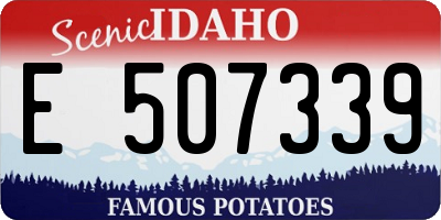 ID license plate E507339