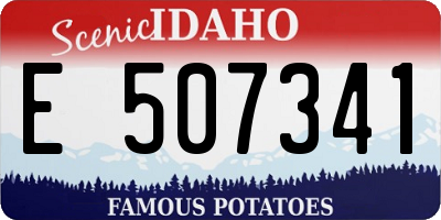 ID license plate E507341