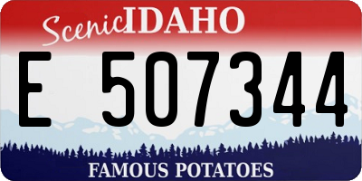 ID license plate E507344