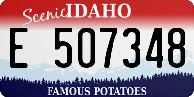 ID license plate E507348