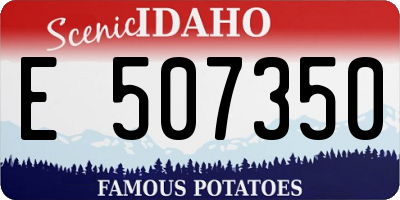 ID license plate E507350