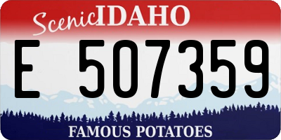 ID license plate E507359